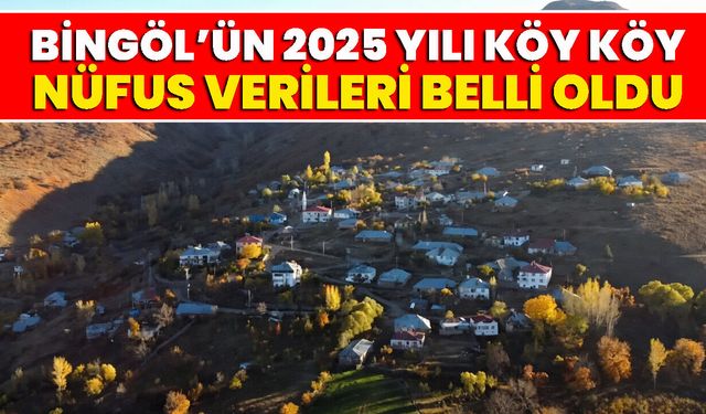 Bingöl’ün 2025 Yılı Köy Köy Nüfus Verileri Belli Oldu