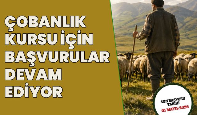 Bingöl’de Çobanlık Kursu için Başvurular Sürüyor