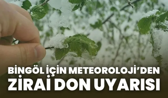 Bingöl İçin Zirai Don Uyarısı!