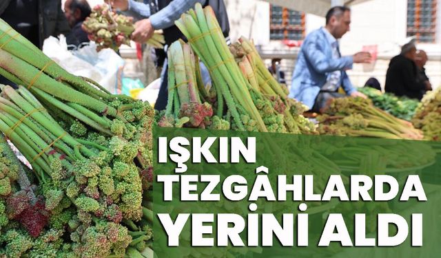 Işkın Tezgâhlarda Yerini Aldı