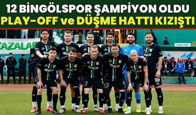 Şampiyon 12 Bingölspor: 3. Lig 2. Grup'ta Play-Off ve Düşme Hattındaki Takımlar
