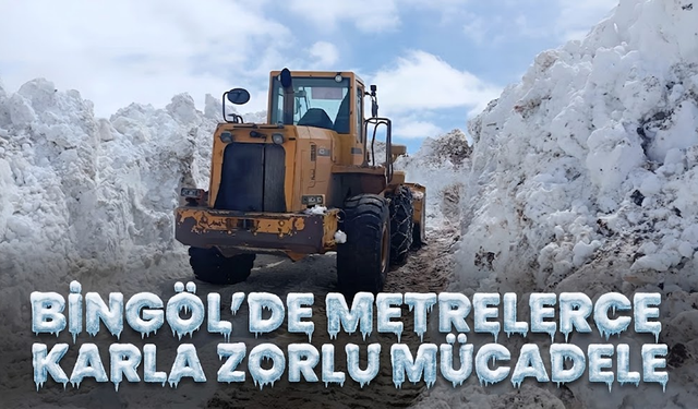 Bingöl’de Metrelerce Karla Zorlu Mücadele