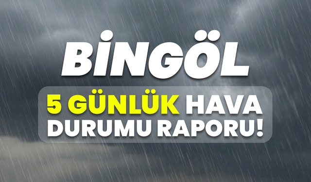 Bingöl 5 Günlük Hava Durumu Raporu!