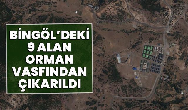 Bingöl’deki 9 Alan Orman Vasfından Çıkarıldı