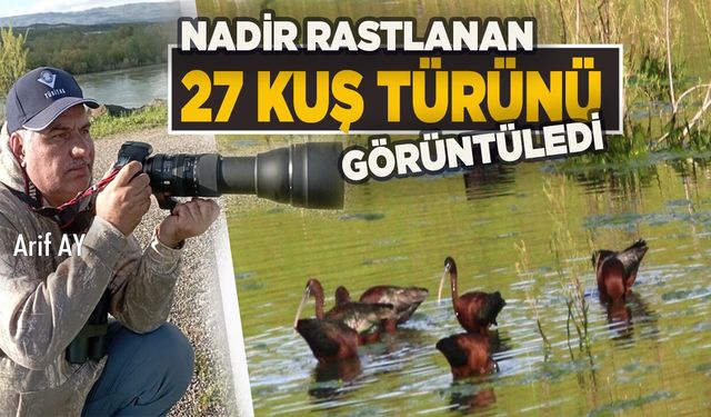 Bingöl’deki Sulak Alanlar Ender Rastlanan Kuş Türlerine Ev Sahipliği Yapıyor