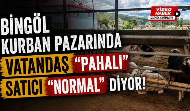 Bingöl Kurban Pazarında Vatandaş “Pahalı”, Satıcı “Normal” Diyor!