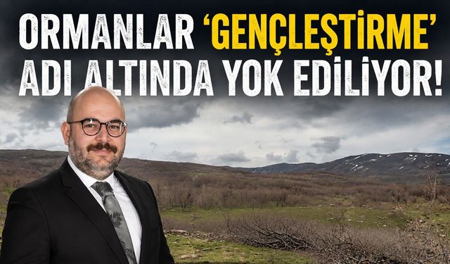 Ormanlar ‘Gençleştirme’ Adı Altında Yok Ediliyor!