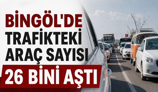 Bingöl’deki Motorlu Taşıt Sayısı Yüzde 11.4 Arttı