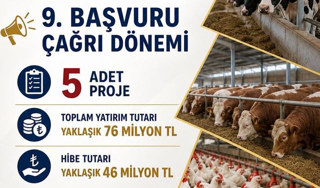 Bingöl’de 5 Projeye 46 Milyon Lira Hibe
