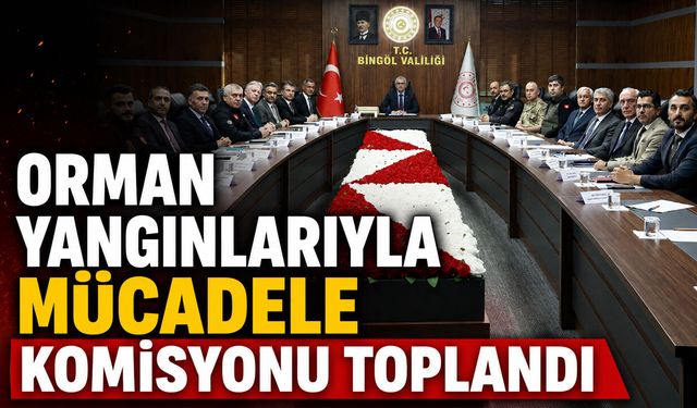 Bingöl’de ‘Orman Yangınlarıyla Mücadele Komisyonu’ Toplandı
