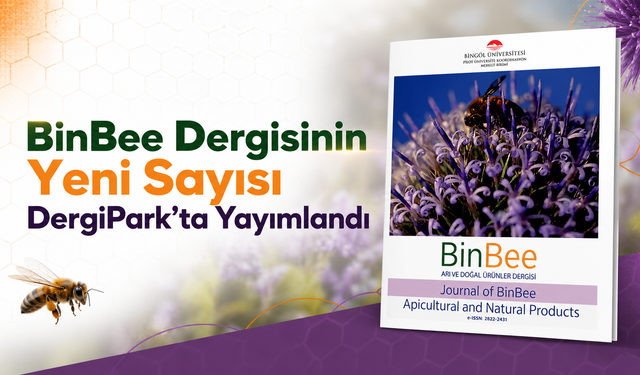BinBee Dergisinin Yeni Sayısı DergiPark’ta Yayımlandı