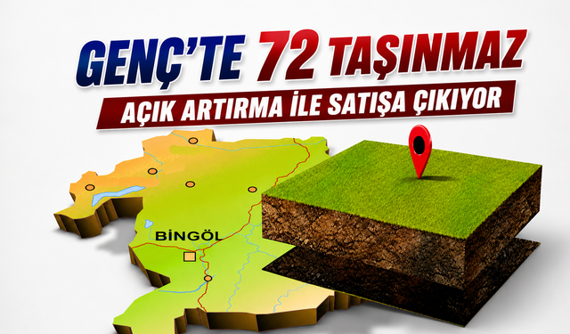 Genç’te 72 Taşınmaz İhale Yoluyla Satılacak