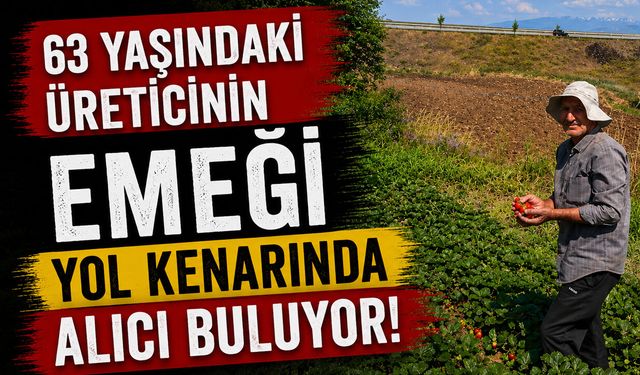 63 Yaşındaki Üreticinin Emeği Yol Kenarında Alıcı Buluyor!