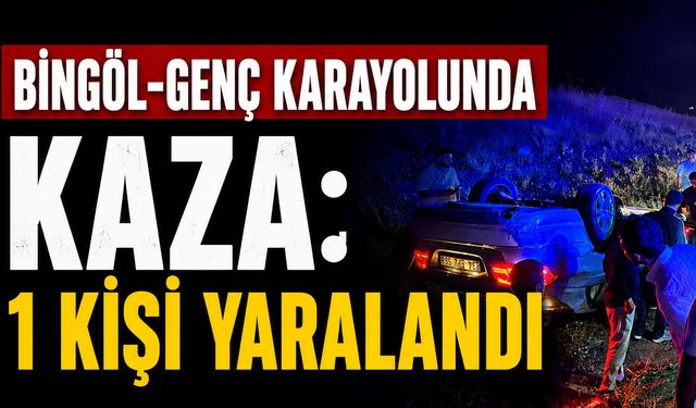 Bingöl-Genç Karayolunda Kaza: 1 Kişi Yaralandı