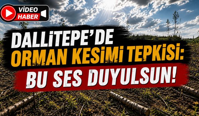 Dallıtepe’de Orman Kesimi Tepkisi: Bu Ses Duyulsun!