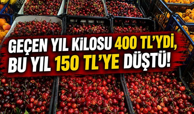 Geçen Yıl Kilosu 400 TL’ydi, Bu Yıl 150 TL’ye Düştü!