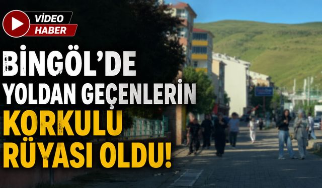 Bingöl'de Yoldan Geçenlerin Korkulu Rüyası Oldu!