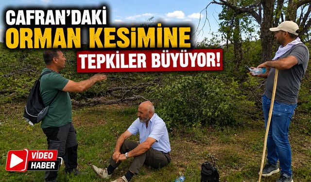 Cafran’daki Orman Kesimine Tepkiler Büyüyor!