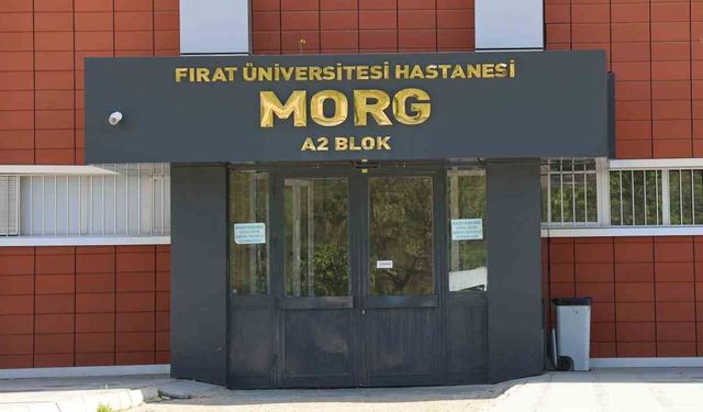 Elazığ'da Çay Ocağındaki Bıçaklı Saldırıda Yaralanan Şahıs Yaşamını Yitirdi
