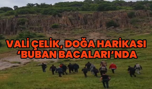 Vali Çelik, Doğa Harikası 'Buban Bacaları'nda İncelemelerde Bulundu