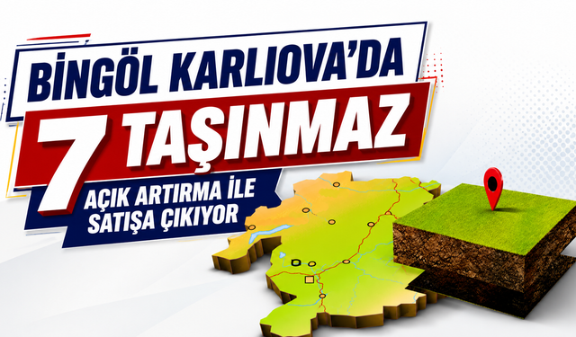 Karlıova’da 7 Taşınmaz Açık Artırma İle Satışa Çıkıyor