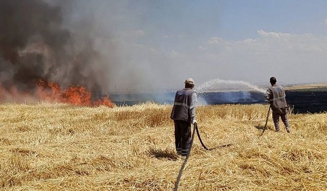 Diyarbakır'da Anız Yangını: Yüzlerce Dönümlük Arazi Küle Döndü