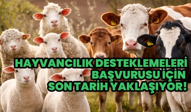 Hayvancılık Desteklemeleri Başvurularında Son Gün Yaklaşıyor!