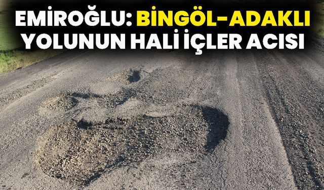 Emiroğlu: Bingöl-Adaklı Yolunun Hali İçler Acısı