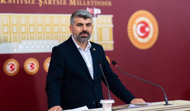 Milletvekili Dinç, Bingöl’de Engelli Vatandaşların Yaşadığı Sorunları Mecliste Dile Getirdi