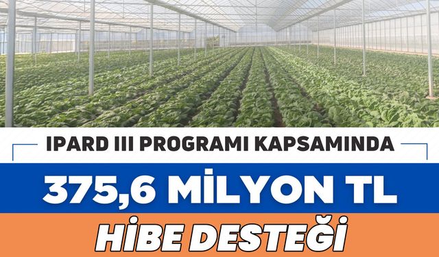 IPARD III ile Mayıs’ta 375 Milyon Lira Hibe Ödemesi