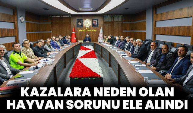 Kazalara Neden Olan Hayvan Sorunu Ele Alındı