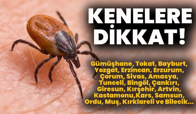KENELERE DİKKAT!
