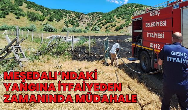 Genç’te Korkutan Yangın İtfaiyenin Müdahalesiyle Söndürüldü