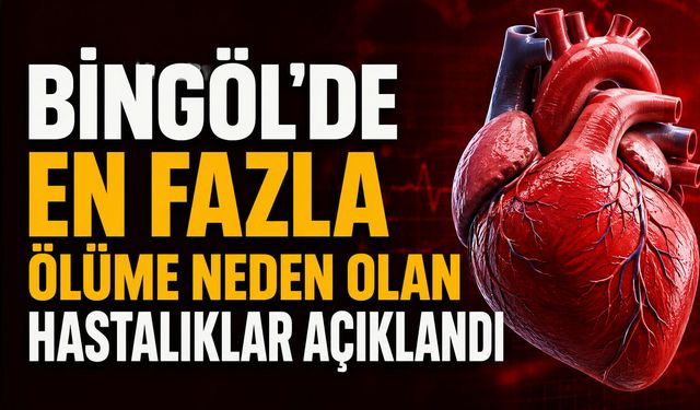 Bingöl’de En Fazla Ölüme Neden Olan Hastalıklar Açıklandı