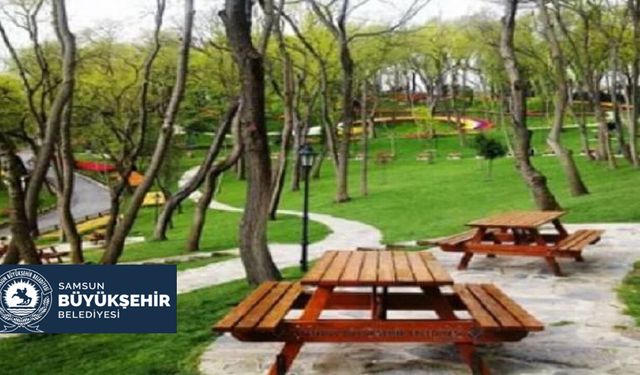 BİNGÖL KİĞI İLÇESİ PARK ALANI YAPIMI İŞİ