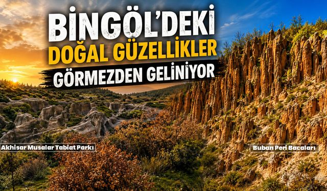 Bingöl’deki Doğal Güzellikler Görmezden Geliniyor