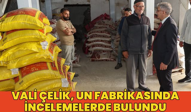 Vali Çelik, Un Fabrikasında İncelemelerde Bulundu