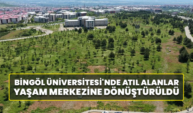 Bingöl Üniversitesi'nde Atıl Alanlar Yaşam Merkezine Dönüştürüldü