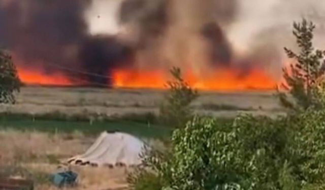 Şanlıurfa'da 200 Dönüm Arazi Kül Oldu: 1'i Ağır 3 Yaralı