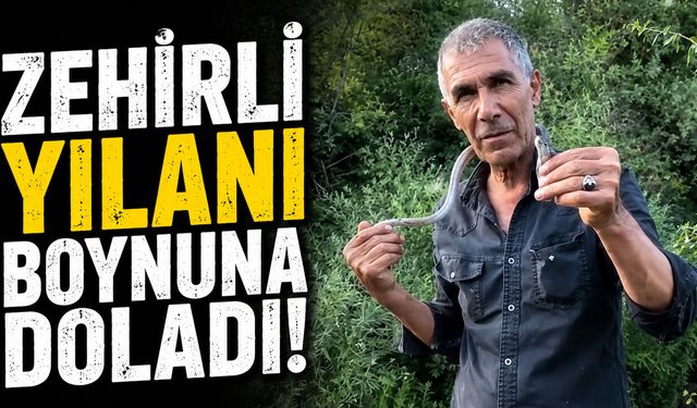 Zehirli Yılanı Boynuna Doladı!