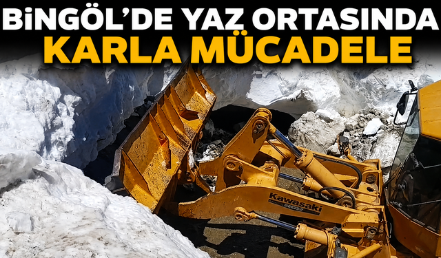Bingöl’de Yaz Ortasında Karla Mücadele