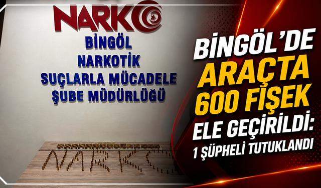 Bingöl’de Araçta 600 Fişek Ele Geçirildi: 1 Şüpheli Tutuklandı