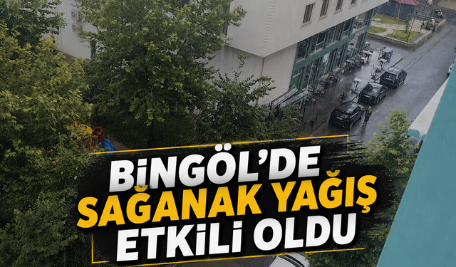 Bingöl’de Sağanak Yağış Etkili Oldu