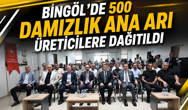 Bingöl’de 500 Damızlık Ana Arı Üreticilere Dağıtıldı
