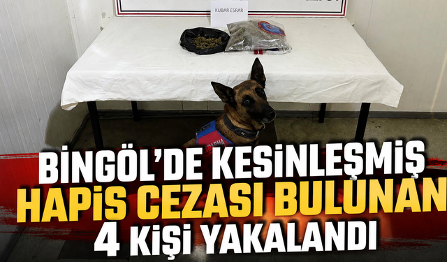 Bingöl'de Kesinleşmiş Hapis Cezası Bulunan 4 Kişi Yakalandı
