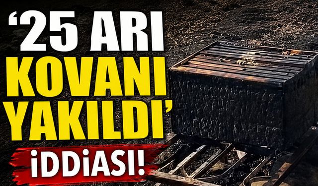 Solhan'da 25 Arı Kovanı Kül Oldu!