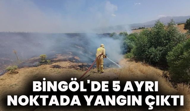 Bingöl'de 5 Ayrı Noktada Yangın Çıktı