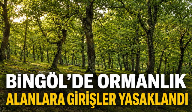 Bingöl’de Ormanlık Alanlara Girişler Yasaklandı
