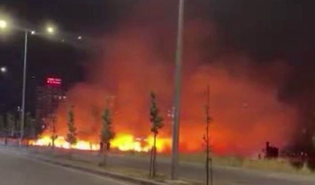 Diyarbakır'da Ot Yangını, Geceyi Gündüze Çevirdi