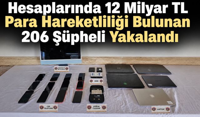 Hesaplarında 12 Milyar TL Para Hareketliliği Bulunan 206 Şüpheli Yakalandı